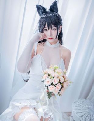 星辰视频免费观看完整版_BD国语电影免费在线